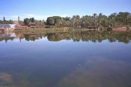 El Farafra Oasis