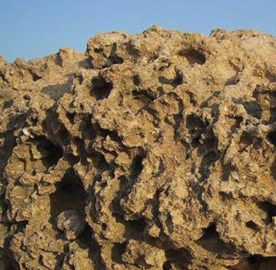 تونس  فطيس فطيس مدنين -  - تونس