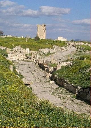 Tunisia Maktar Trajan Arch Trajan Arch Siliana - Maktar - Tunisia