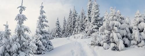 لوكسمبورج لوكسمبورغ = لوكسمبورج لوكسمبورغ لوكسمبورغ لوكسمبورغ - - لوكسمبورج