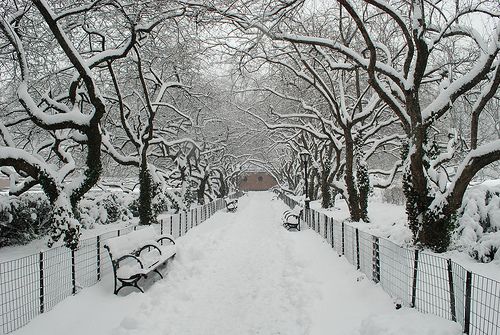 United States of America  New York New York New York -  - United States of America