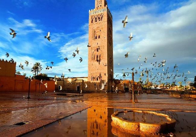 Morocco  Marrakesh Marrakesh Marrakech-tensift-al Haouz -  - Morocco