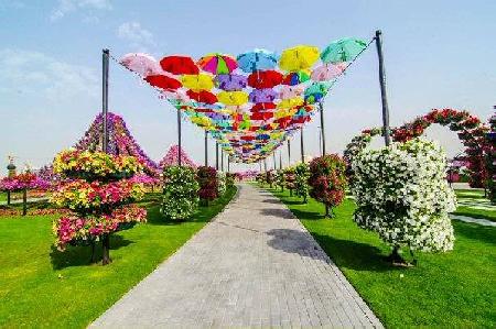 دبى