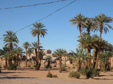 زاكورة