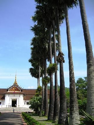 Laos Luang Prabang  Royal Palace Museum Royal Palace Museum Luang Prabang - Luang Prabang  - Laos