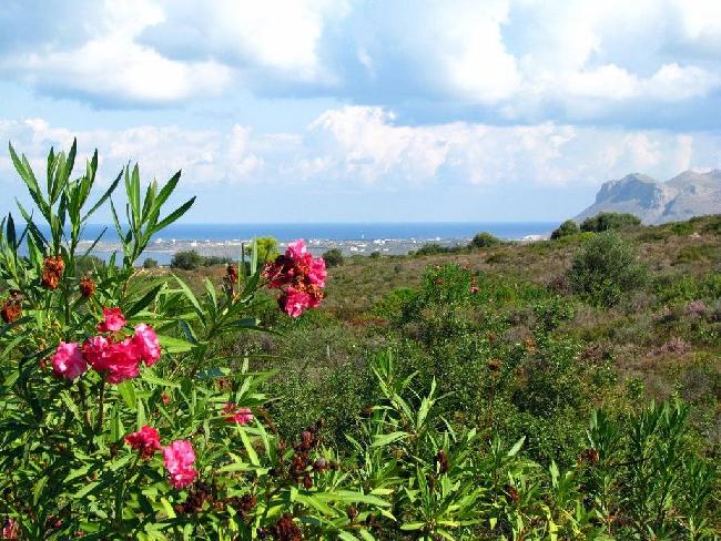 Greece Heraklion Botanical Park & Gardens Of Crete Botanical Park & Gardens Of Crete Crete - Heraklion - Greece