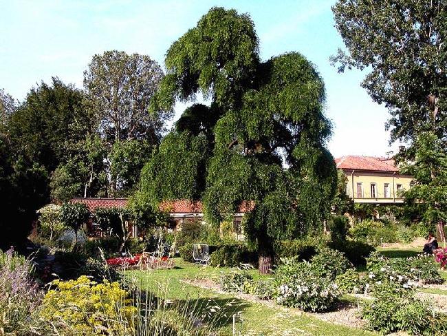 Italy Turin Botanical Garden of the University of Turin Botanical Garden of the University of Turin Piemonte - Turin - Italy