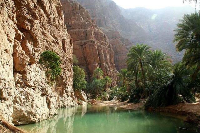 عمان = عمان عمان عمان - -