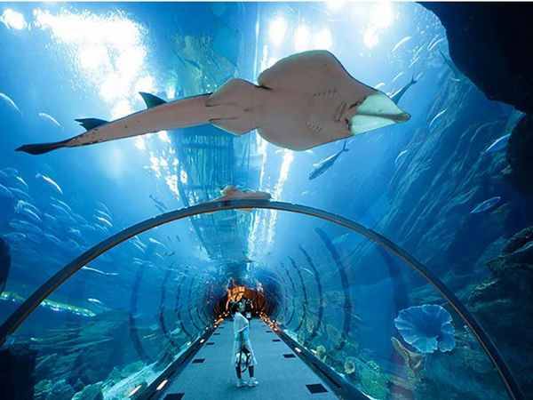 Thailand Pattaya Underwater World Underwater World Chon Buri - Pattaya - Thailand