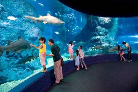 Hotels near Sea Life Bangkok Ocean World  Bangkok