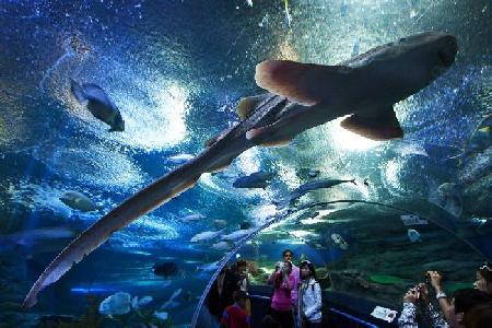 Hotels near Underwater World  Pattaya