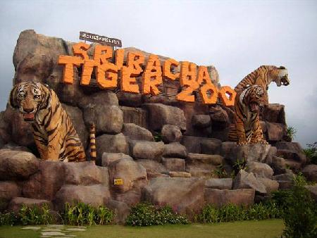 Hotels near Tiger Zoo  Pattaya