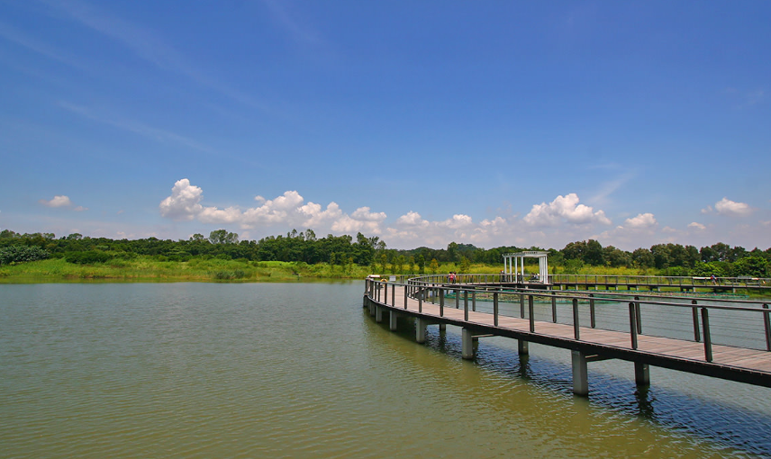 China Hong Kong Wetland Park Wetland Park Hong Kong - Hong Kong - China