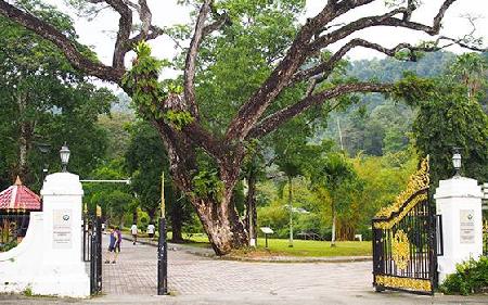 Hotels near Penang Botanical Gardens  Penang - George Town