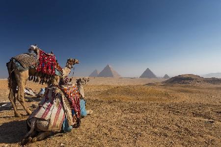 Cairo
