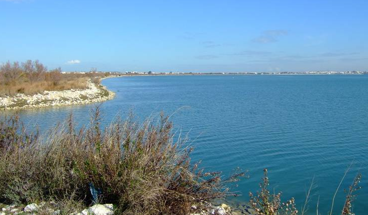 Tunisia Tunis  Lac de Tunis Lac de Tunis Tunis - Tunis  - Tunisia