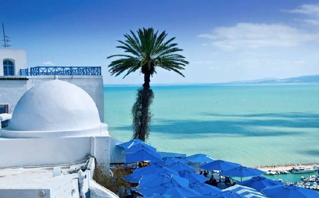 تونس تونس = تونس تونس تونس تونس - - تونس