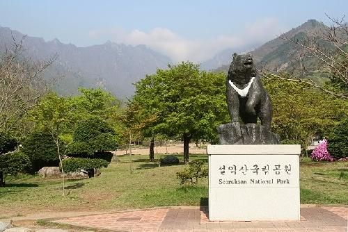 South Korea Kangnung  Sorak  Monut Sorak  Monut  Kangwon - Kangnung  - South Korea