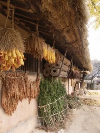 Korean Traditional Village