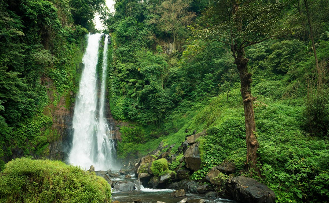 Indonesia Bali Island Git git Waterfall Git git Waterfall Indonesia - Bali Island - Indonesia