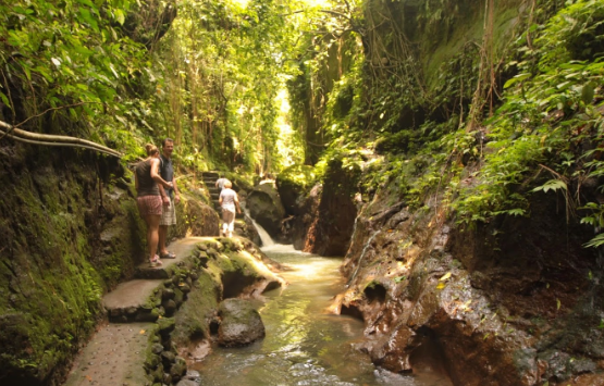 Indonesia Ubud Mandala Wisata Wanara Wana Mandala Wisata Wanara Wana Ubud - Ubud - Indonesia