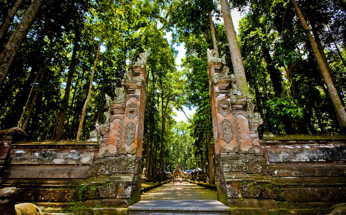 Indonesia Bali Island Sacred Monkey Forest Sanctuary Sacred Monkey Forest Sanctuary Bali Island - Bali Island - Indonesia