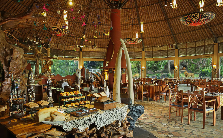Hotels near Bali Safari and Marine Park  Bali Island