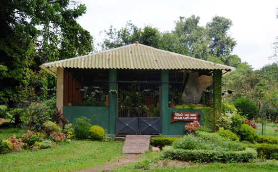 Sri Lanka Colombo Henaratanagoda Botanical Garden Henaratanagoda Botanical Garden Sri Lanka - Colombo - Sri Lanka