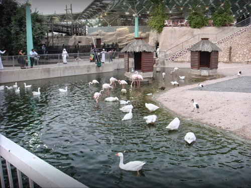 Qatar Doha Doha Zoo Doha Zoo Doha - Doha - Qatar
