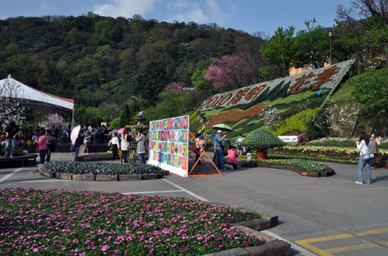 Taiwan Taipei Yangmingshan National Park Yangmingshan National Park Taipei Hsien - Taipei - Taiwan