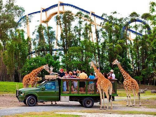 United States of America Orlando  Busch Gardens Tampa Bay Busch Gardens Tampa Bay Orlando - Orlando  - United States of America