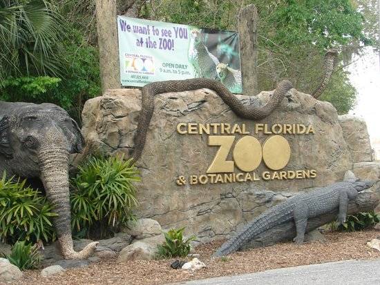 United States of America Orlando  Central Florida Zoological Park Central Florida Zoological Park Central Florida Zoological Park - Orlando  - United States of America