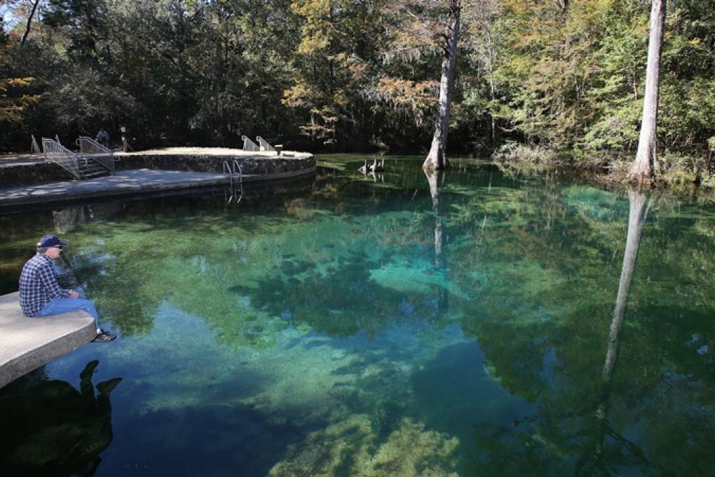 United States of America Orlando  Deleon Springs Orlando Deleon Springs Orlando Orlando - Orlando  - United States of America