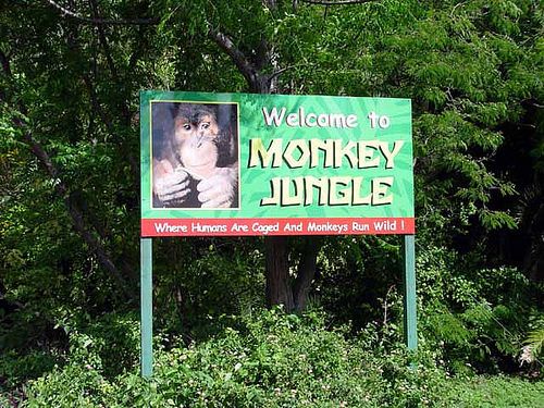 United States of America Miami  Monkey Jungle Monkey Jungle Monkey Jungle - Miami  - United States of America