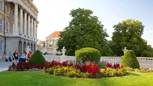 Hungary Budapest Botanic Garden Buda Botanic Garden Buda Central Hungary - Budapest - Hungary