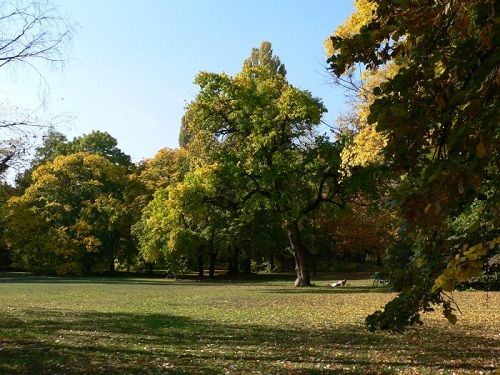 Hungary Budapest Nepliget Park Nepliget Park Nepliget Park - Budapest - Hungary