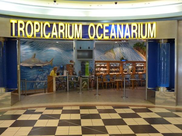 Hungary Budapest Tropicarium - Oceanarium Tropicarium - Oceanarium Central Hungary - Budapest - Hungary