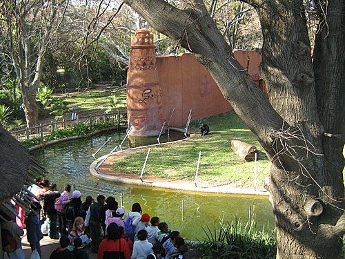 South Africa Johannesburg Johannesburg Zoo Johannesburg Zoo South Africa - Johannesburg - South Africa