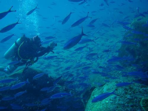 Seychelles Beau Vallon  Underwater Centre Seychelles Underwater Centre Seychelles Mahe - Beau Vallon  - Seychelles