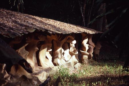 Nigeria Oshogbo  Sacred Forests Sacred Forests Osun - Oshogbo  - Nigeria