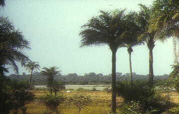 Ziguinchor