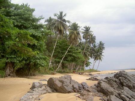 Littoral