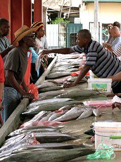 Visiting Sir Selwyn Clarket Market