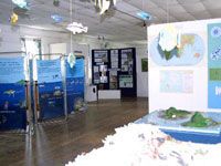 Visiting Natural History Museum