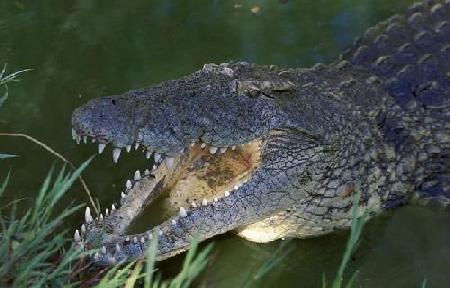 Kwa Zulu-natal