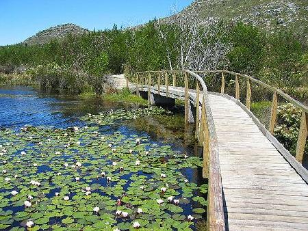 Hotels near Silvermine Nature Reserve  Cape Town