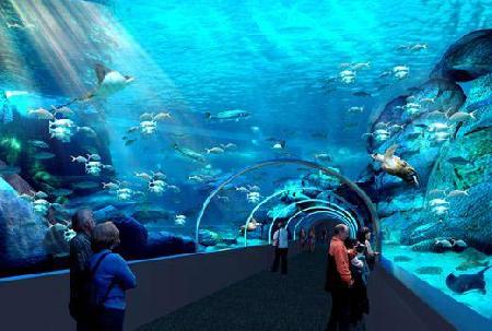 Hotels near Two Oceans Aquarium  Cape Town