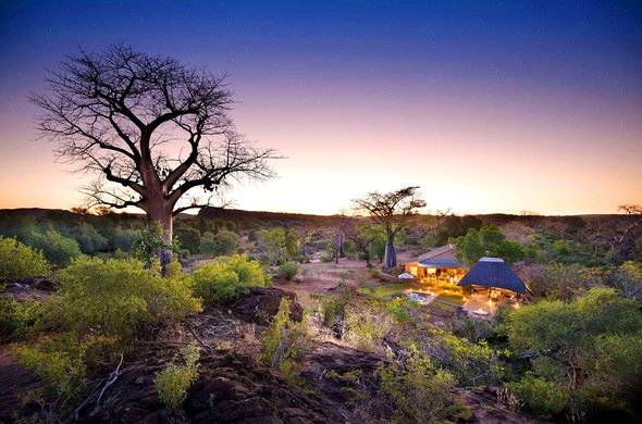 South Africa Kruger National Park Baobab Hill Baobab Hill Mpumalanga - Kruger National Park - South Africa