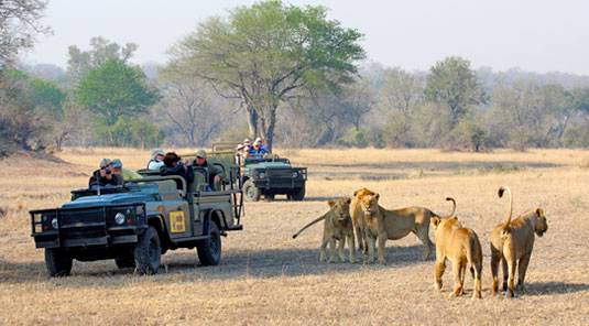 South Africa Kruger National Park Mala Mala Game Reserve Mala Mala Game Reserve Kruger National Park - Kruger National Park - South Africa