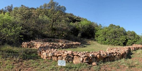 South Africa Johannesburg Melville Koppies Nature Reserve Melville Koppies Nature Reserve Johannesburg - Johannesburg - South Africa